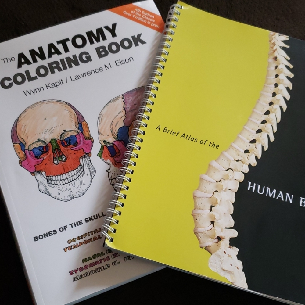 Anatomy coloring book & Atlas of the Human Body